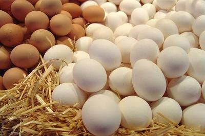 كيف تميز بين البيض الطازج من التالف