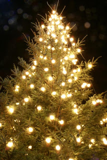 صور شجرة عيد الميلاد 2013 – صور شجرة راس السنة 2013 – صور شجر عيد الميلاد – صورة شجرة عيد الميلاد – شجر عيد الميلاد 2013 – شجرة عيد الميلاد الم?