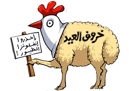صور خروف العيد 2012 - كبش عيد الأضحى 2012 - صور مضحكة خروف العيد الكبير 2012