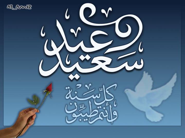 صور خروف العيد 2012 - صور عيد الاضحى المبارك 2012 - صور العيد الكبير 2012