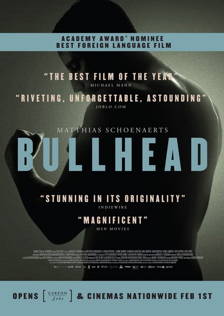 بوسترات فيلم Bullhead  - بوستر فيلم Bullhead Posters - Bullhead