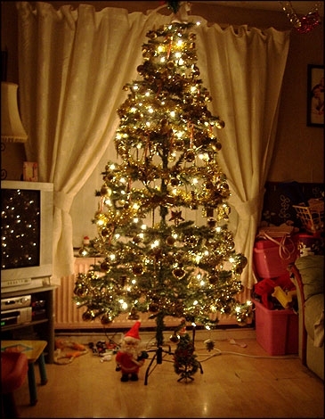 صور شجرة كريسماس 2013 - اروع صور لكريسماس 2013 - شجرة الكريسماس 2013