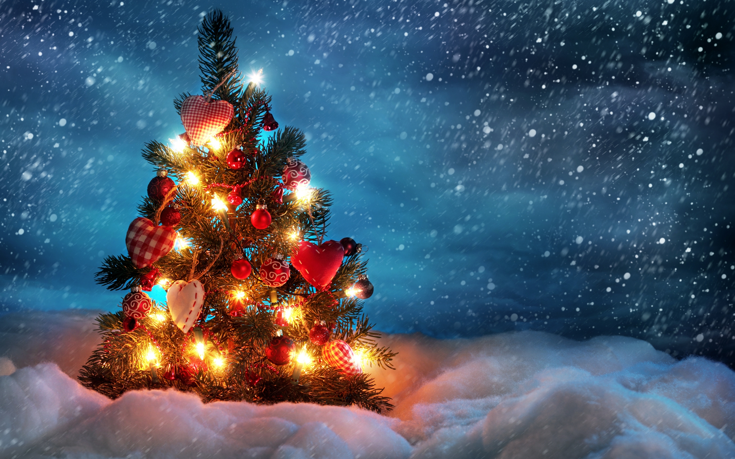 خلفيات شجرة عيد الميلاد 2013 - Christmas Trees HD Wallpaper 2013- خلفيات شجرة الميلاد 2013